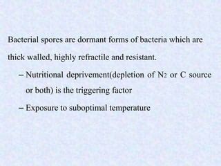 thick-walled dormant form of bacteria very resistant to disinfection measures|microbial dormancy examples.